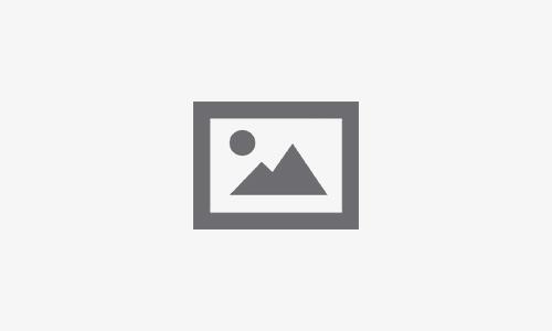 Kinghills Casino’s User Experience: Navigating Like a Pro